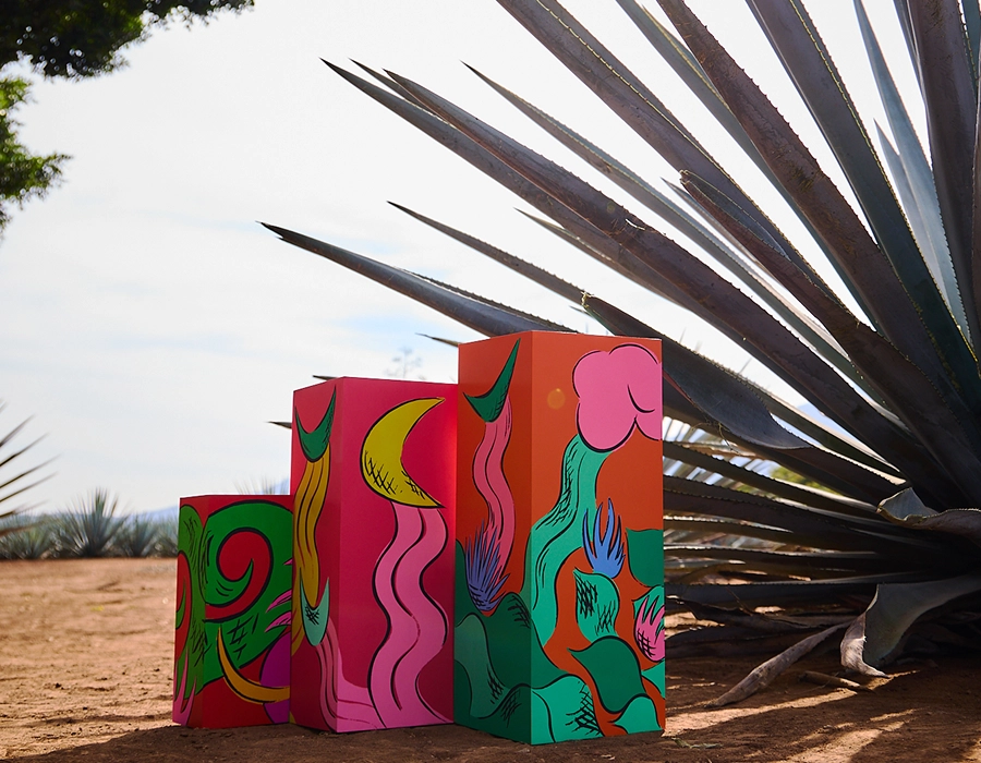 Colección 2026: Cuatro piezas, una misma mirada